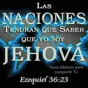 Meet your Posher, Plinio